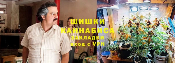 крисы Нефтегорск