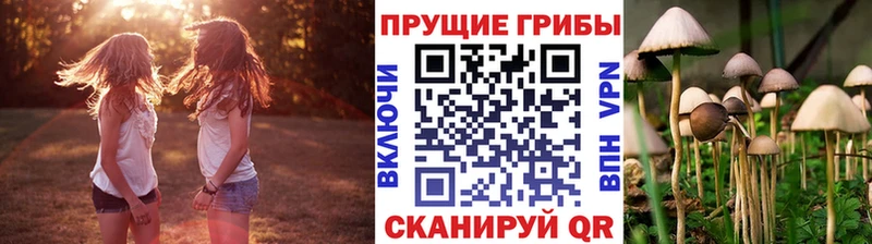 Псилоцибиновые грибы Cubensis  Северо-Курильск 